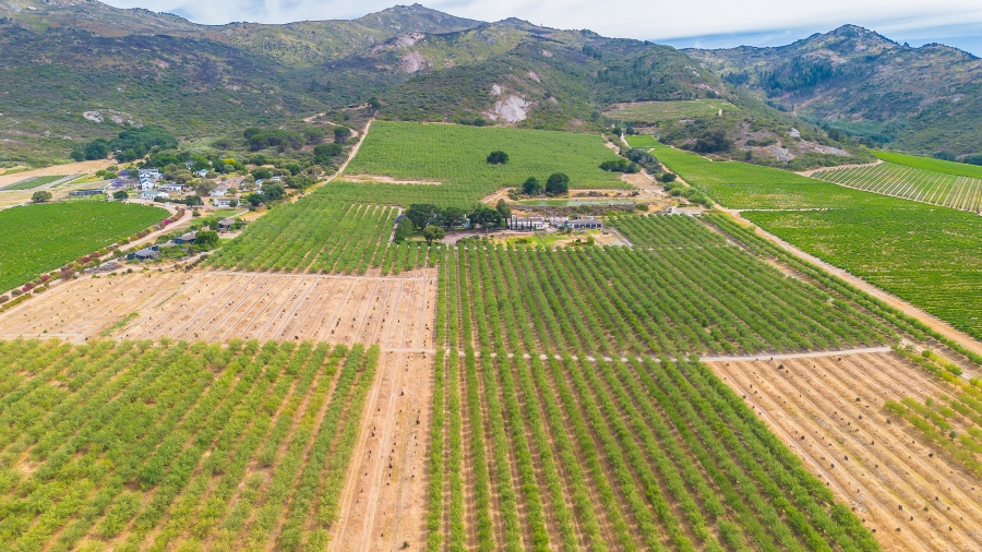 4 Bedroom Property for Sale in Paarl Rural Western Cape